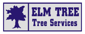 Choose Elm Tree for a dependable tree surgeon in Stockport